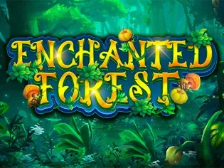 Enchanted Forest